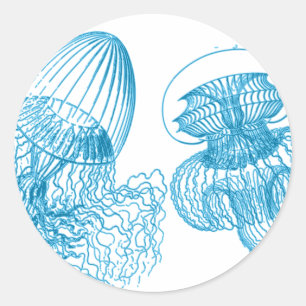 Jellyfish Classic Round Sticker