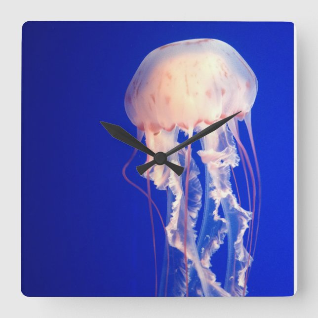Jellyfish Clock (Front)