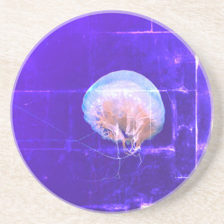 Jellyfish Coaster