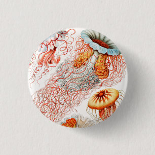 Jellyfish, Discomedusae by Ernst Haeckel 3 Cm Round Badge