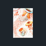 Jellyfish, Discomedusae  by Ernst Haeckel Canvas Print<br><div class="desc">Jellyfish,  Discomedusae Scheibenquallen  by Ernst Haeckel Canvas Print</div>