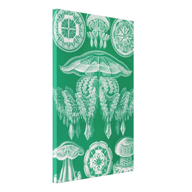 Vintage Jellyfish Illustration Art & Wall Décor Zazzle.co.nz