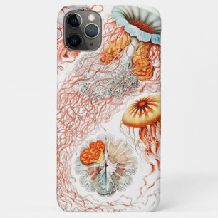 Jellyfish, Discomedusae  by Ernst Haeckel Case-Mate iPhone Case