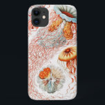 Jellyfish, Discomedusae  by Ernst Haeckel Case-Mate iPhone Case<br><div class="desc">Jellyfish,  Discomedusae Scheibenquallen by Ernst Haeckel Phone Case</div>