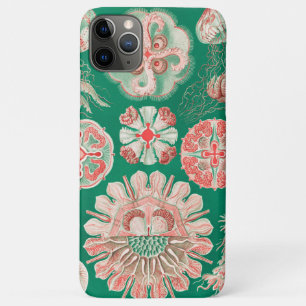 Jellyfish, Discomedusae  by Ernst Haeckel Case-Mate iPhone Case
