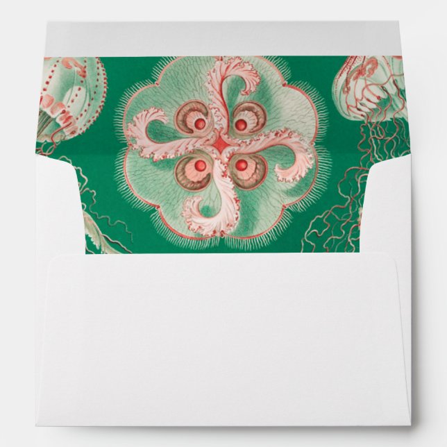 Jellyfish, Discomedusae  by Ernst Haeckel Envelope (Back (Bottom))