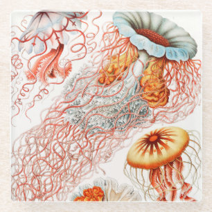 Jellyfish, Discomedusae by Ernst Haeckel Glass Coaster