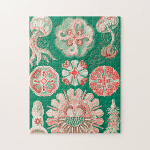 Jellyfish, Discomedusae by Ernst Haeckel Jigsaw Puzzle