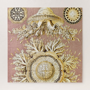 Jellyfish, Discomedusae by Ernst Haeckel Jigsaw Puzzle