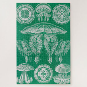 Jellyfish, Discomedusae by Ernst Haeckel Jigsaw Puzzle