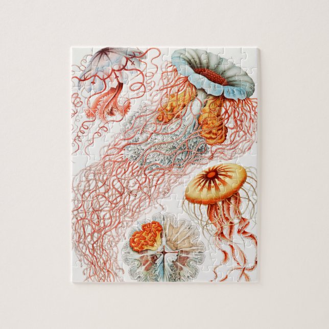 Jellyfish, Discomedusae by Ernst Haeckel Jigsaw Puzzle (Vertical)