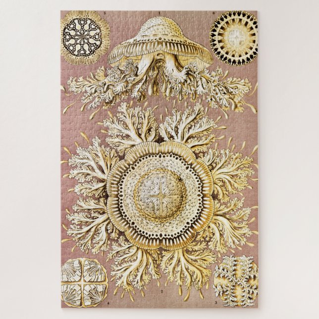 Jellyfish, Discomedusae by Ernst Haeckel Jigsaw Puzzle (Vertical)