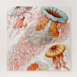 Jellyfish, Discomedusae by Ernst Haeckel Jigsaw Puzzle<br><div class="desc">Jellyfish,  Discomedusae Scheibenquallen by Ernst Haeckel Jigsaw Puzzle.</div>