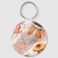 Jellyfish, Discomedusae by Ernst Haeckel