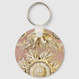 Jellyfish, Discomedusae by Ernst Haeckel Key Ring