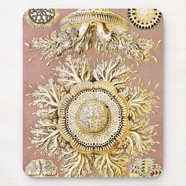 Jellyfish, Discomedusae by Ernst Haeckel Mouse Pad (Front)