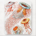 Jellyfish, Discomedusae by Ernst Haeckel Mouse Pad<br><div class="desc">Jellyfish,  Discomedusae Scheibenquallen by Ernst Haeckel Mouse Pad</div>