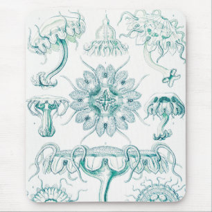 Jellyfish, Discomedusae by Ernst Haeckel Mouse Pad
