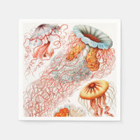 Jellyfish, Discomedusae by Ernst Haeckel