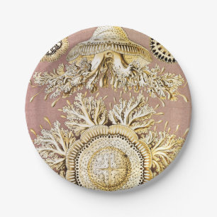 Jellyfish, Discomedusae by Ernst Haeckel Paper Plate