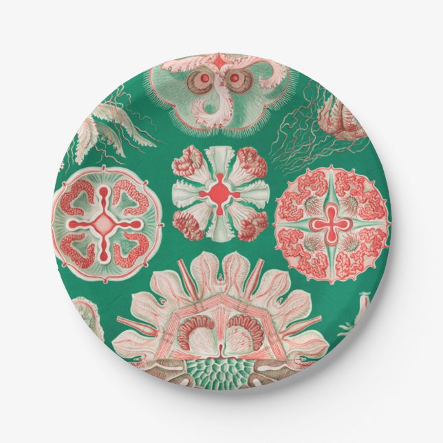 Jellyfish, Discomedusae by Ernst Haeckel Paper Plate (Front)