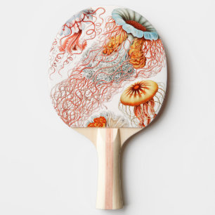 Jellyfish, Discomedusae by Ernst Haeckel Ping Pong Paddle