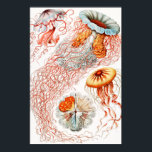 Jellyfish, Discomedusae by Ernst Haeckel Poster<br><div class="desc">Jellyfish,  Discomedusae Scheibenquallen by Ernst Haeckel Poster</div>