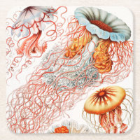 Jellyfish, Discomedusae by Ernst Haeckel