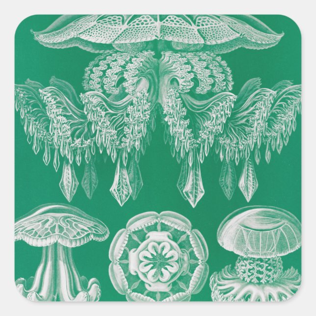 Jellyfish, Discomedusae by Ernst Haeckel Square Sticker (Front)