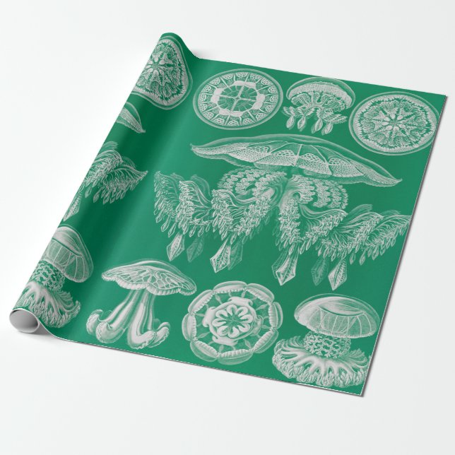 Jellyfish, Discomedusae by Ernst Haeckel Wrapping Paper (Unrolled)