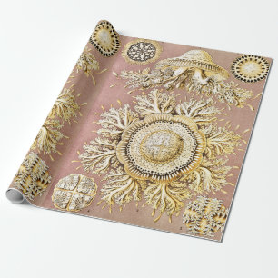 Jellyfish, Discomedusae by Ernst Haeckel Wrapping Paper