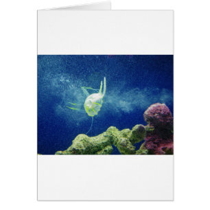 jellyfish fish custom personalise Anniversaries