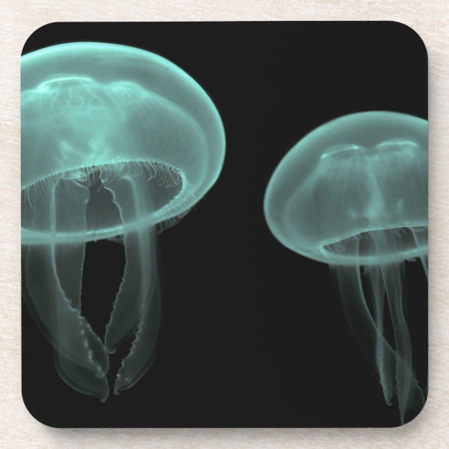 jellyfish fish custom personalise Anniversaries Coaster (Front)