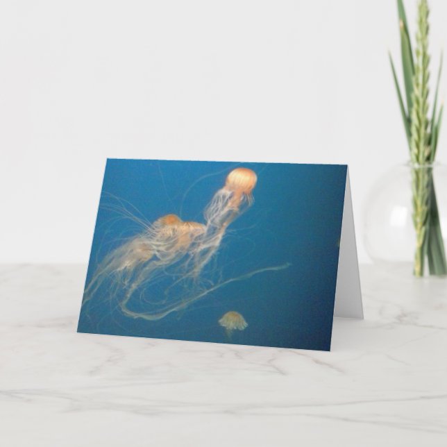 JellyFish Greeting Card (Front)