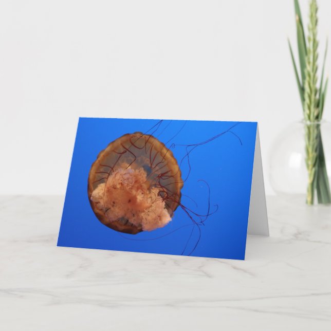 Jellyfish Greeting Card (Front)