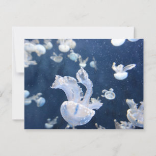 Jellyfish in the Ocean Postcard