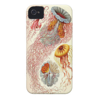 Jellyfish Iphone 4/4s Case