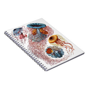 Jellyfish Journal