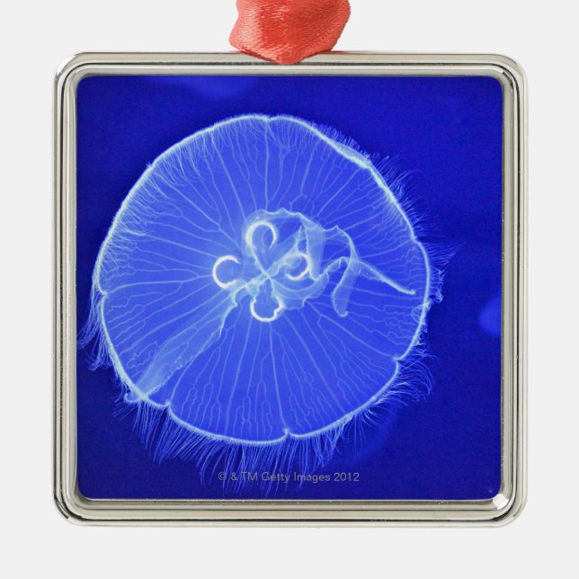 Jellyfish Metal Tree Decoration (Front)