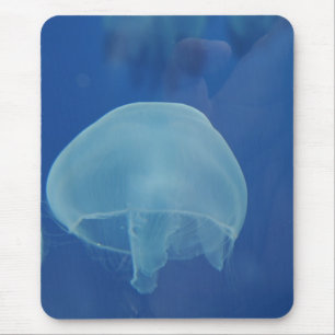 jellyfish mouse pad