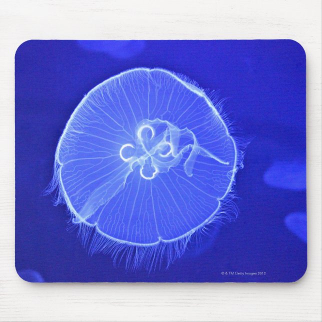 Jellyfish Mouse Pad (Front)