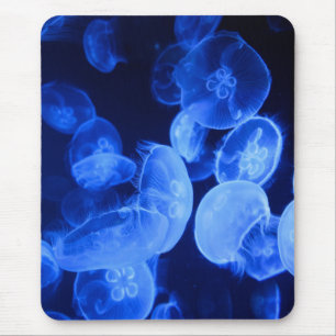 jellyfish, nature, sea jelly mouse pad