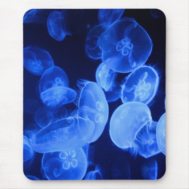 jellyfish, nature, sea jelly mouse pad (Front)
