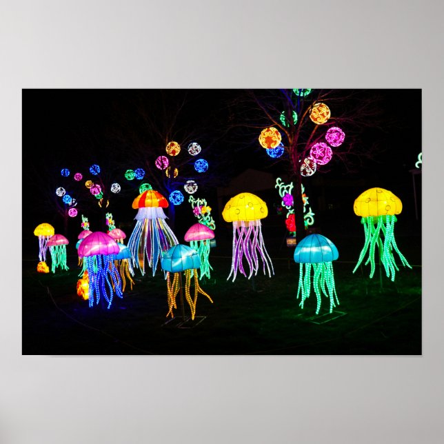 Jellyfish of Lights  Poster (Front)