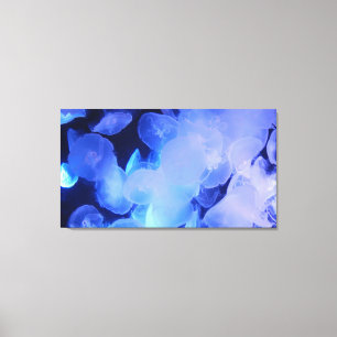 JELLYFISH ON CANVAS     20 "x 16" Print