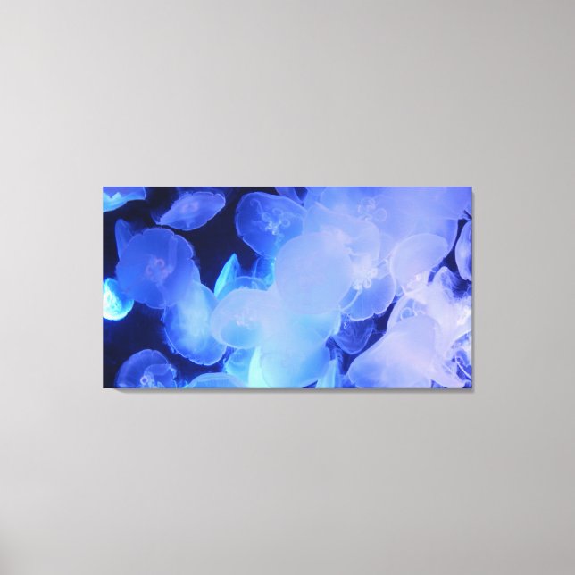 JELLYFISH ON CANVAS     20 "x 16" Print (Front)