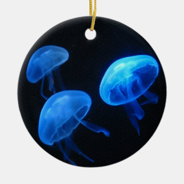 Jellyfish ornament | Underwater photography (Front)