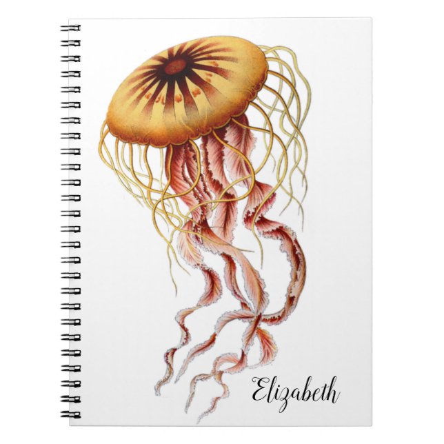 Jellyfish Personalised Notebook (Front)