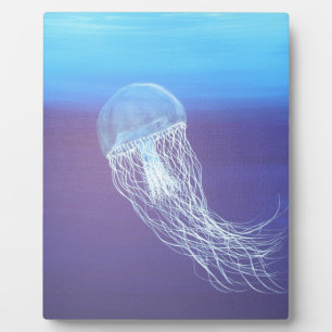 Jellyfish Plaque