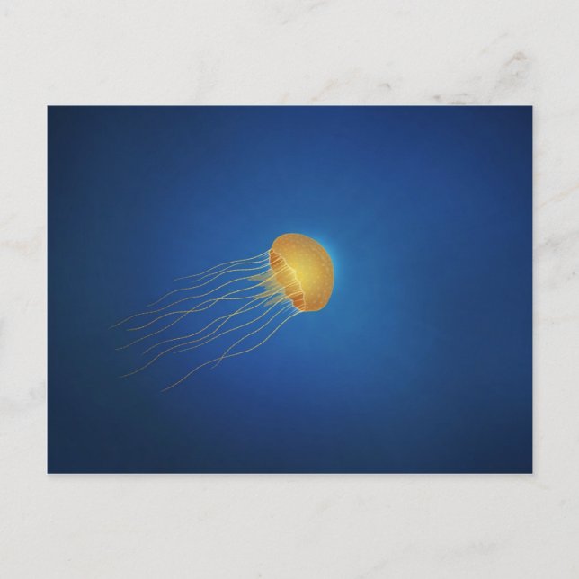 Jellyfish Postcard (Front)
